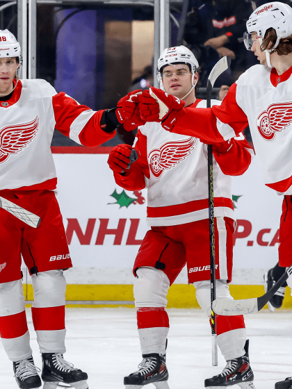 再次证明自 再次证明自